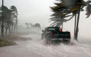 windstorm insurance