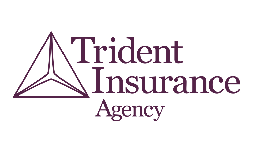 Client logo 8